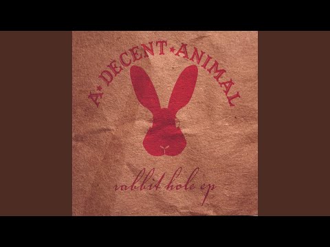 Rabbit Hole Video