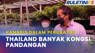 KANABIS DALAM PERUBATAN | Penggunaan Di Malaysia Diputuskan Sebelum Akhir Tahun