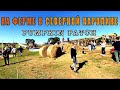 На тыквенной ферме в Северной Каролине. Осенние выходные для детей. Pumpkin Patch.