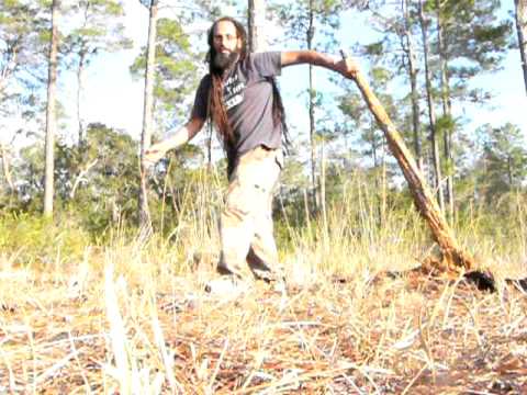 7 inch tree removal whispering pines