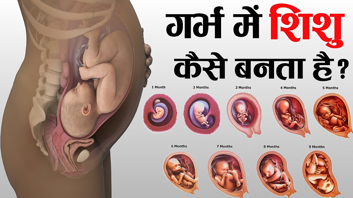 पेट में बच्चे का विकास कैसे होता है ||  1 to 9 month of baby growth during Pregnancy