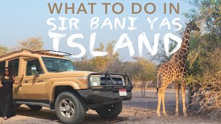 Sir Bani Yas Island Abu Dhabi: Beach, Wildlife Safari and Iftar (Best Day Trip Deal) screenshot 5