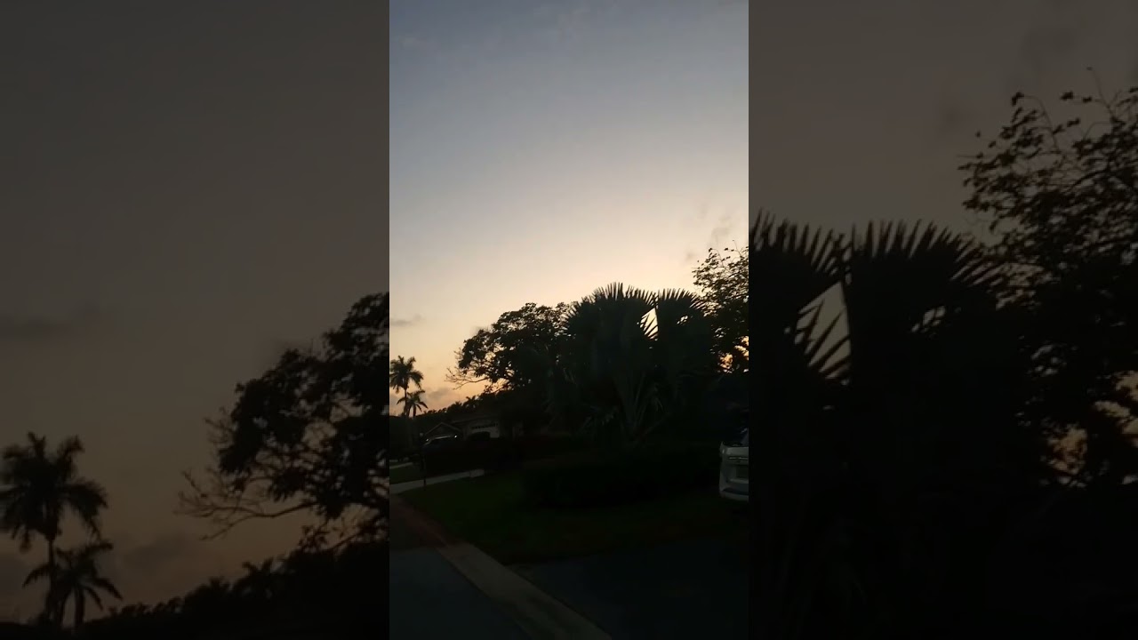 Free cut if video gets 1000+ Likes! 