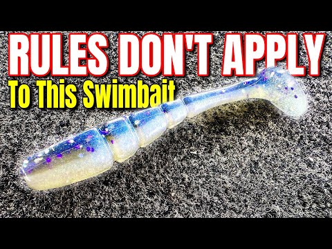 The Rules DONT Apply To This Swimbait