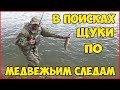 В поисках щуки, по медвежьим следам