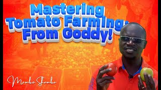 A StepbyStep Plan for Profitable Tomato Farming on 4 Acres in Kenya