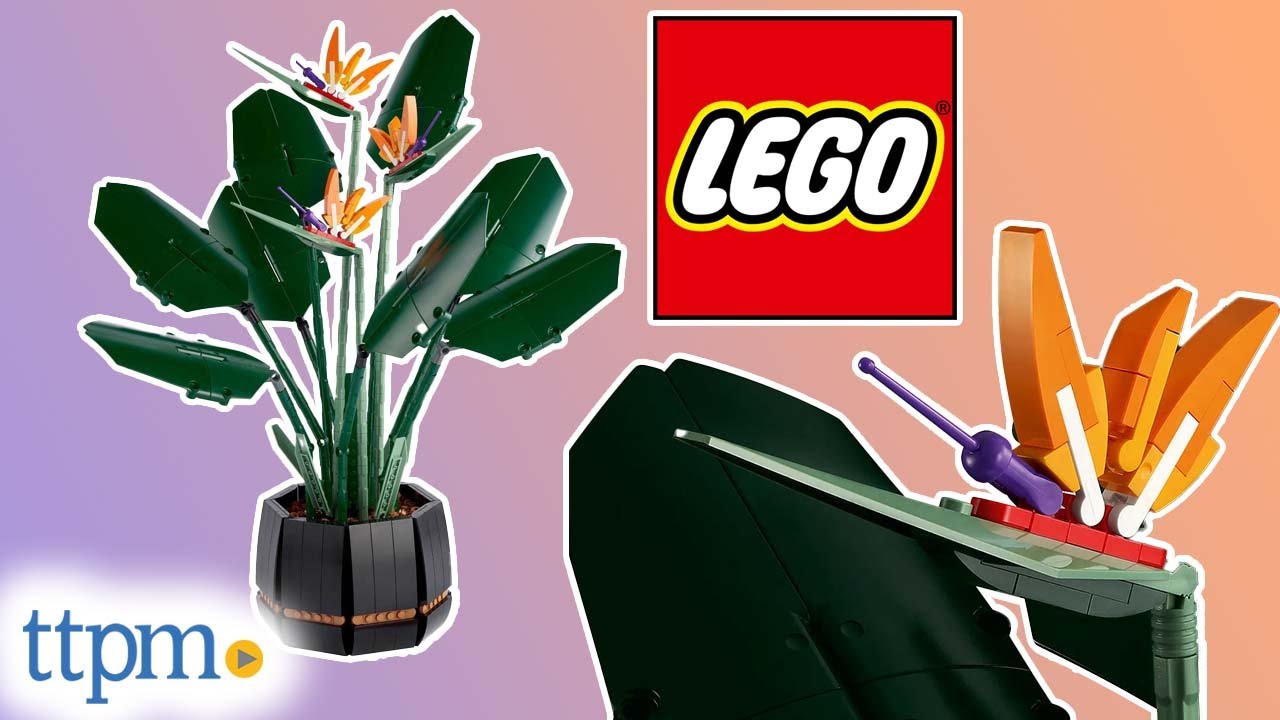 LEGO Botanical Collection Bird of Paradise Review! 