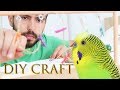 How to Build Your Own Birds Playground [DIY Project]