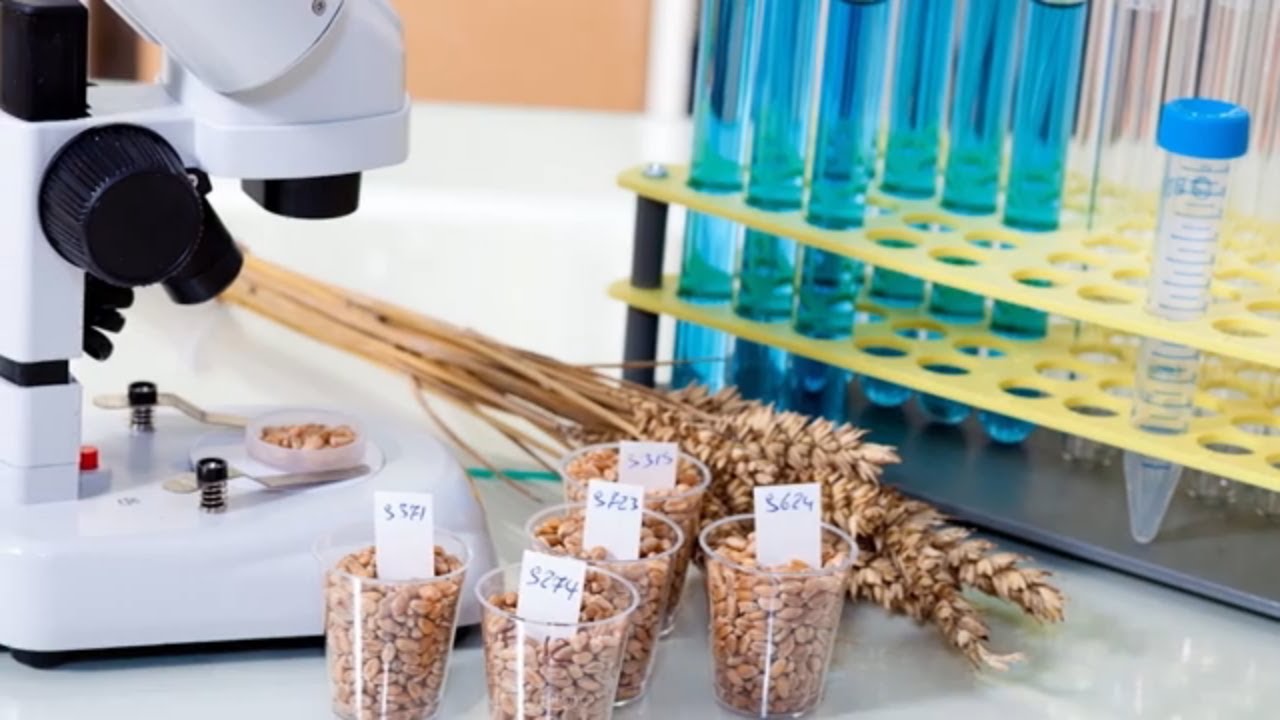 Food Testing in India FSSAI YouTube