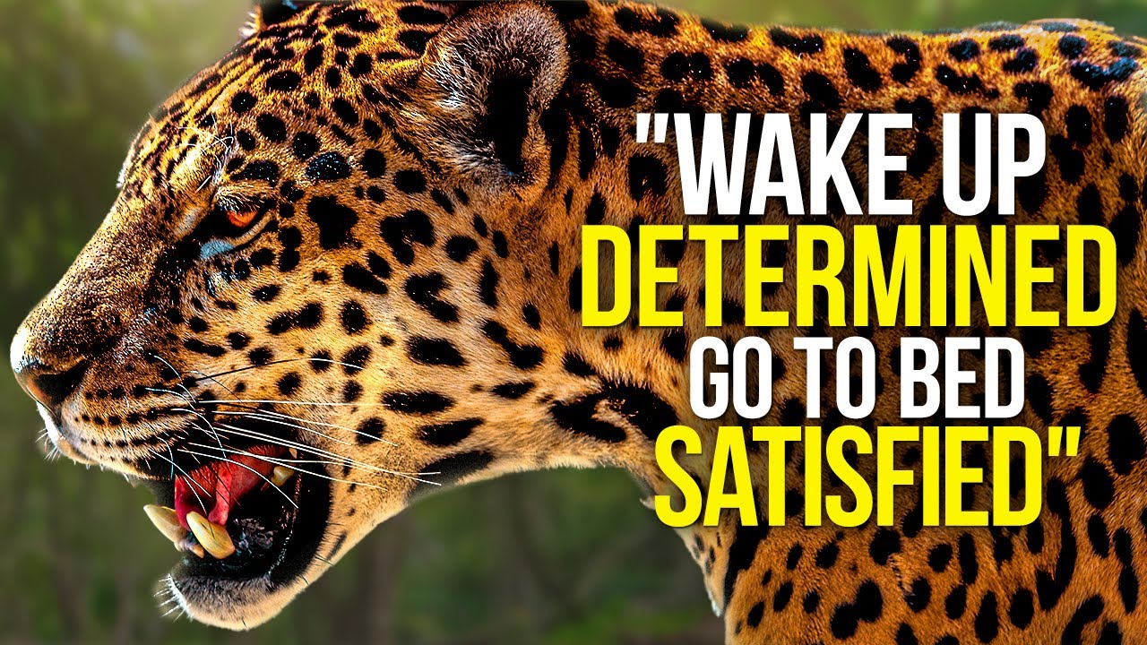 WAKE UP DETERMINED & START THE DAY - Motivational Video Compilation - 30 Minute Morning Motivati