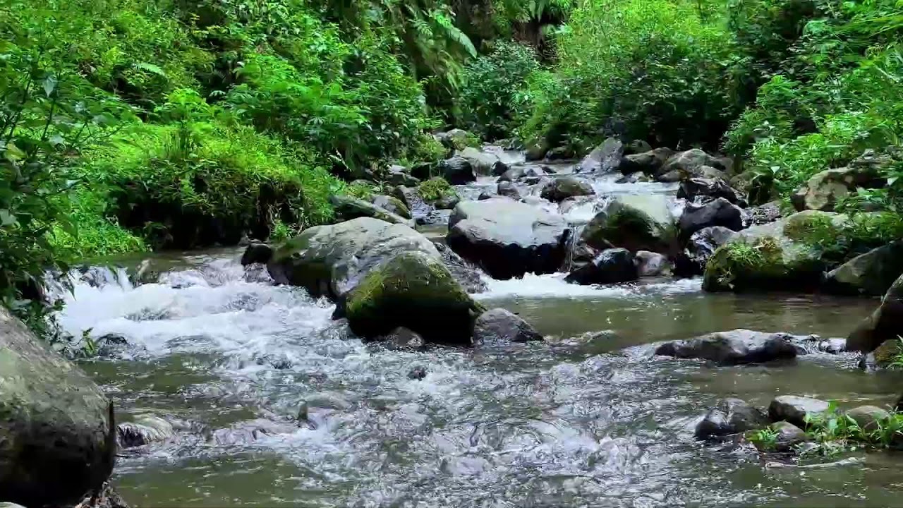 Natural river sound near peaceful tree-lined river guiding calm breathing into deep sleep mode