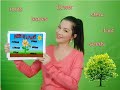 Plant Parts and Their Functions Quiz