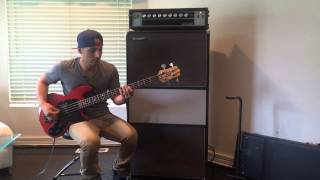 1988 Wal MK I // Acoustic 360/361