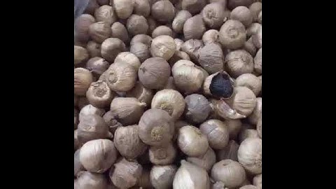 Tỏi đen cô đơn Sơn La – Thực phẩm bổ dưỡng tăng cường sức khỏe