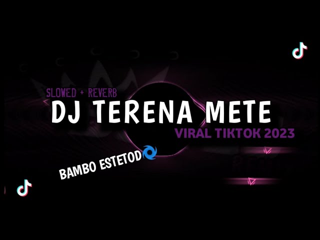 DJ TERENA METE VIRAL TIKTOK 2023 || (SLOWED + REVERB) class=