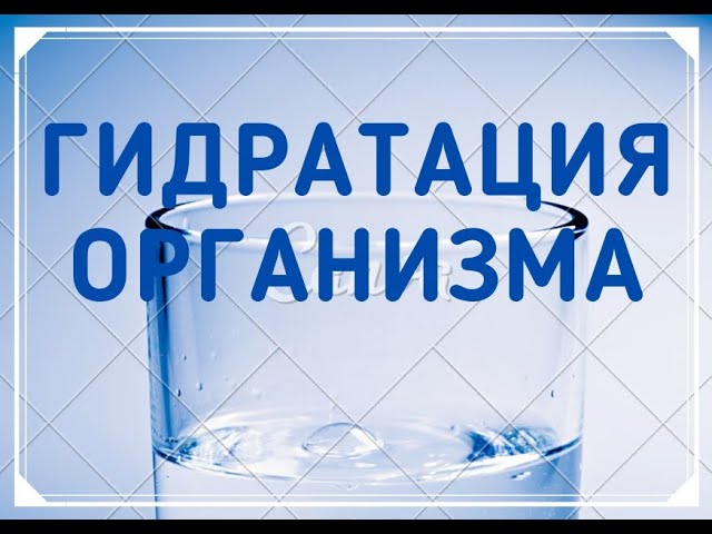 Гидратация организма