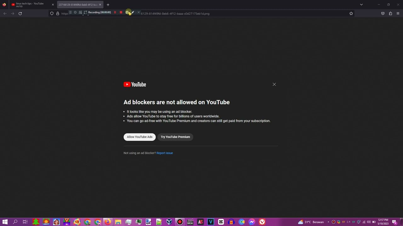 Firefox 113 Now Can Skip Youtube Ads Using Picture in Picture! Without Adblock Extension!