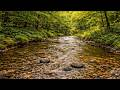 Soft Bliss Study Focus Relax Sleep Audio for Healing Sleep Medicine 🌌💤