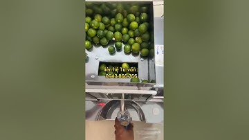 Máy ép chanh tắc quất mini có bị vỡ hạt, nước ép có bị đắng không