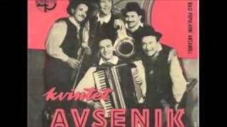 Slavko Avsenik & Seine Original Oberkrainer -Die Frühen Jahre