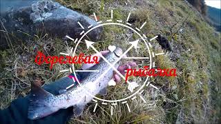 Форелевая рыбалка. Первый снег в горах.#fishingvideo #fishing #troutfishing #рыбалка #форель #горы