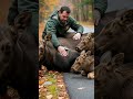 Maine Game Warden Saves Baby Moose And Mother After Accident Maine Game Warden Saves Baby Moose And Mother After Accident