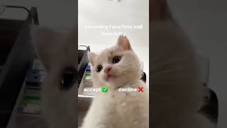 Bruf Stole My Fing Phone