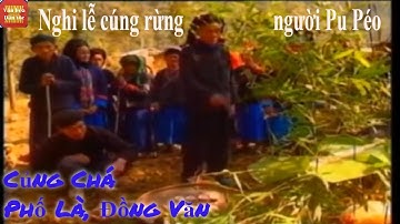 Lễ cúng thần rừng dân tộc Pu Péo || Văn hóa tộc người Pu Péo