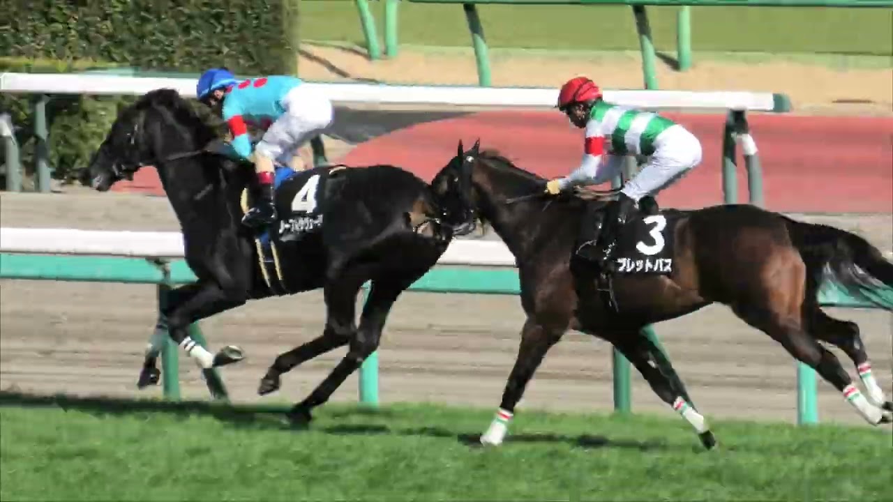 2026 2 28 中山競馬場第9レース　水仙賞　3歳1勝クラス　ブレットパス　イベントホライゾン　ノーブルサヴェージ　他