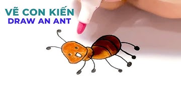 DẠY BÉ VẼ CON KIẾN - DRAW AN ANT - BAHAKIDS TV