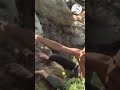 «Все должны уйти»