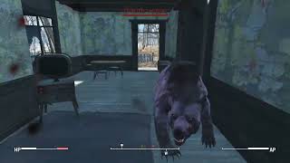 Yao Guai Jumpscare | Fallout 4