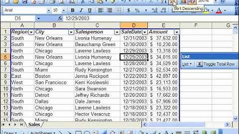 Excel 2003 Tutorial Sorting Data Microsoft Training Lesson 26.1