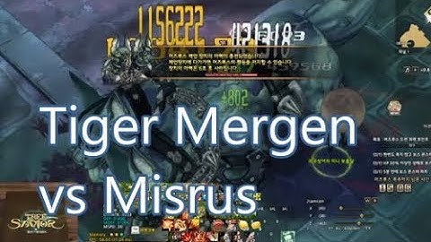 [Final Rebalance] [For Fun] Misrus vs Tiger Mergen - Tree of Savior
