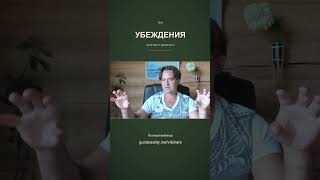 IMG 6182
