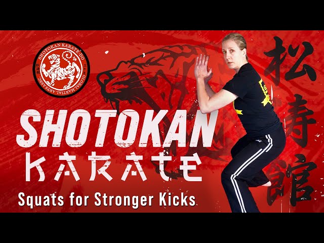 Shotokan Karate Lessons