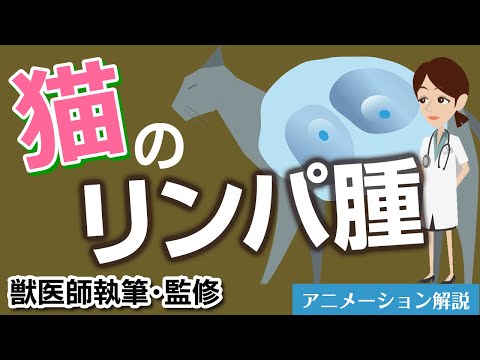 猫のリンパ腫について【獣医師執筆監修】症状から治療方法まで hqdefault