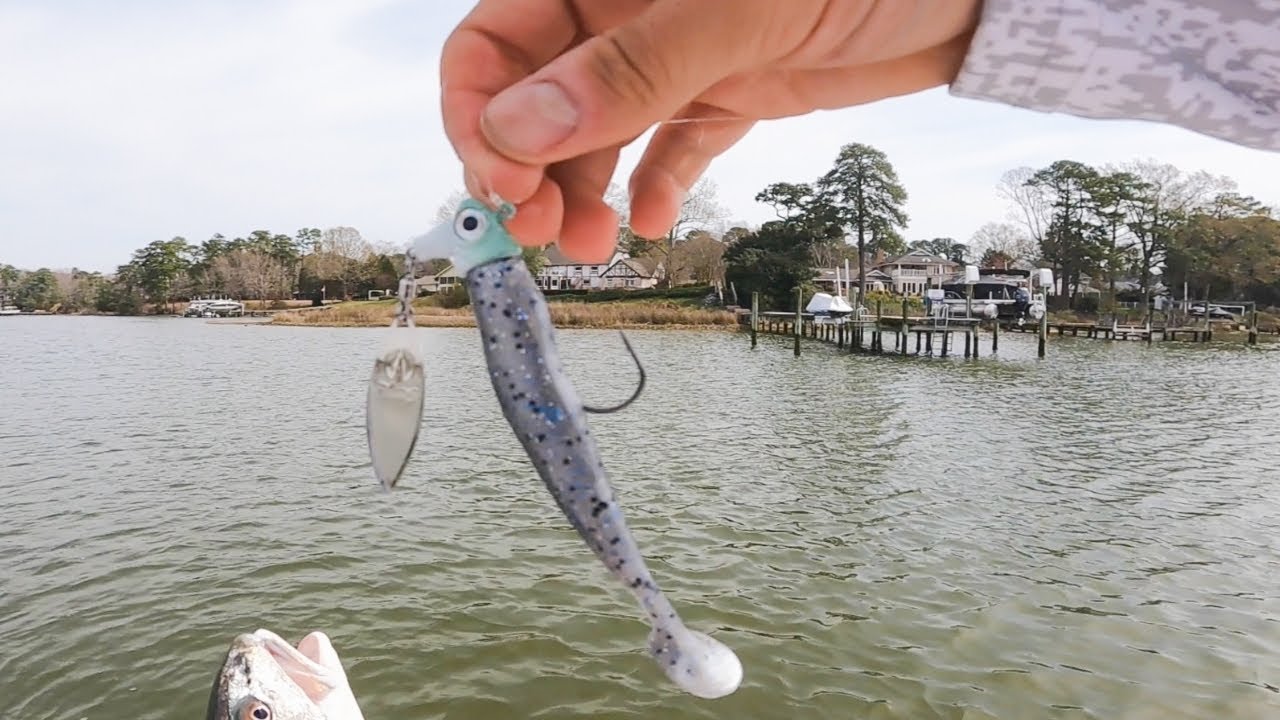 DOCK FISHING for Monster Redfish on JIGS - TIPS and HOW TO 