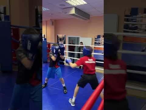 Видео: Спарринг по боксу 2012 гр серые шорты(42 кг) - 2011 гр синие шорты (42 кг) 2 раунд. #бокс #boxing