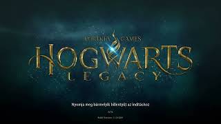 Hogwarts Legacy Teljesítmény problémák ellen pár trükk