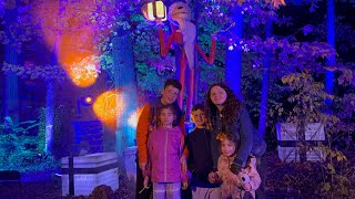 Botanical Garden Nightmare Before Christmas Light Trail New York