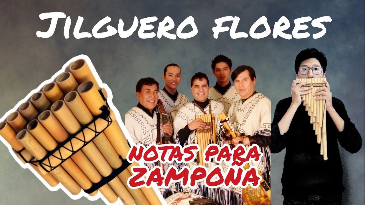 Jilguero flores - kjarkas 🇧🇴 notas para ZAMPOÑA