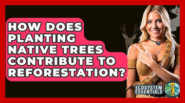 How Does Planting Native Trees Contribute To Reforestation? - Ecosystem Essentials