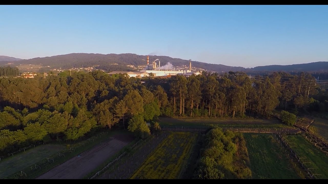 DS Smith: Viana Paper Mill