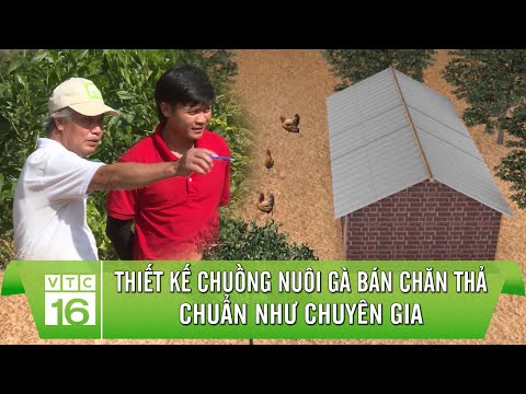 Video: Tự làm chuồng gà cho 20 con gà. Làm thế nào để xây dựng một chuồng gà ấm áp