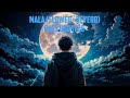 MALA SLOWED REVERB BASS BOOSTED MALA SLOWED REVERB BASS BOOSTED