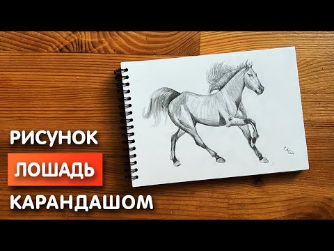 Как нарисовать лошадь карандашом | Рисунок для начинающих поэтапно