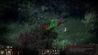 Прохождение Pillars of Eternity ч. 9 Маграново распутье и Компас Анслойга (1080p 60 fps)