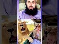 Why Did The Lion Give Two Cubs To This Girl 