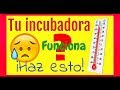 Cómo medir la temperatura de la incubadora.